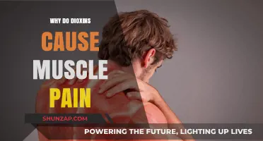 Dioxins and Muscle Pain: Unraveling the Toxic Connection