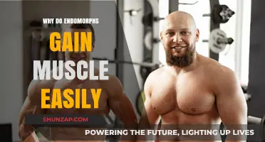 Endomorphs and Muscle Gain: Unlocking the Secrets to Easy Growth