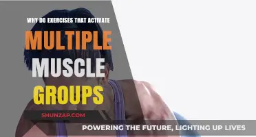 Maximize Your Workout: Benefits of Multi-Muscle Group Exercises