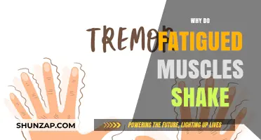 Understanding Muscle Fatigue and the Mystery of Shaking