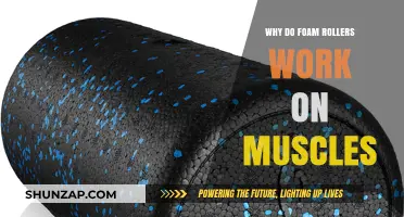 How Foam Rollers Relieve Muscle Tension and Promote Recovery