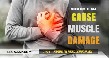 Heart Attacks and Muscle Damage: Understanding the Hidden Connection