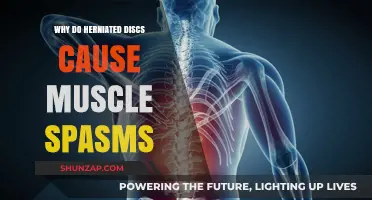 Herniated Discs and Muscle Spasms: Understanding the Painful Connection