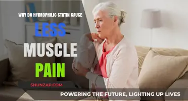 Hydrophilic Statins: Reduced Muscle Pain Explained in Simple Terms