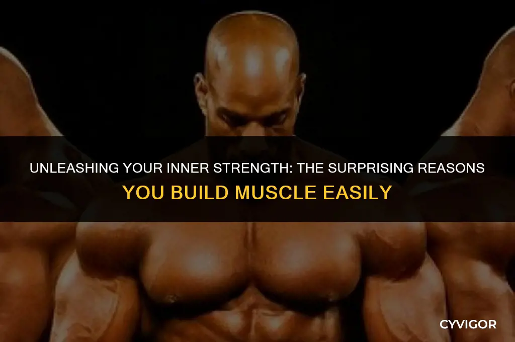 why do i build muscle so easily