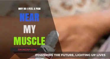 Understanding Muscle Pain: Causes, Symptoms, and Effective Relief Strategies