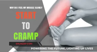 Understanding Muscle Cramps: Causes and Prevention Tips