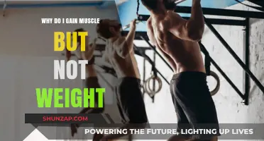 Muscle Gain Without Weight Increase: Understanding Body Composition Changes