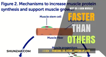 Unraveling the Mystery: Why Some People Build Muscle Faster
