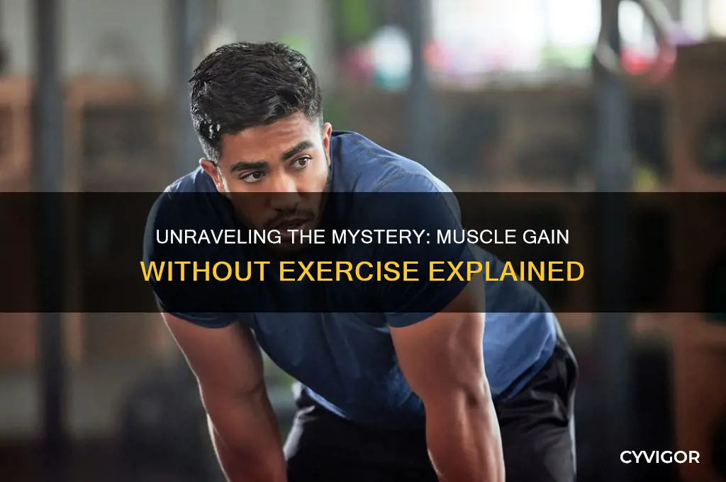 why do i gain muscle for doing nothing