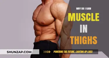 Why Thigh Muscles Grow: Understanding Lower Body Muscle Gain
