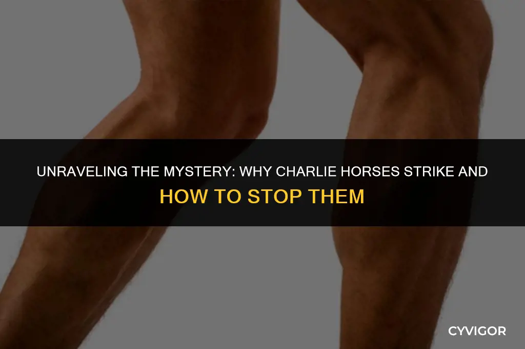 why do i get charlie horses