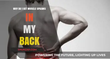 Unraveling the Mystery: Causes and Remedies for Back Muscle Spasms