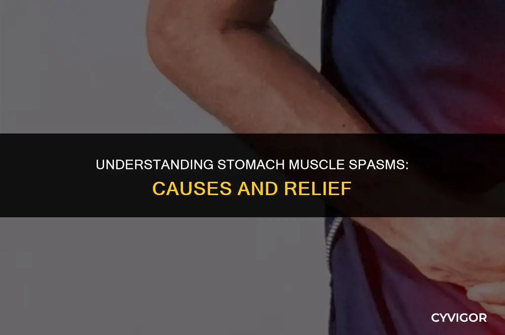 why do i get muscle spasms in my stomach
