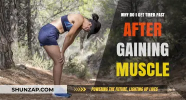 Muscle Gain Fatigue: Why Increased Strength Leads to Faster Tiredness