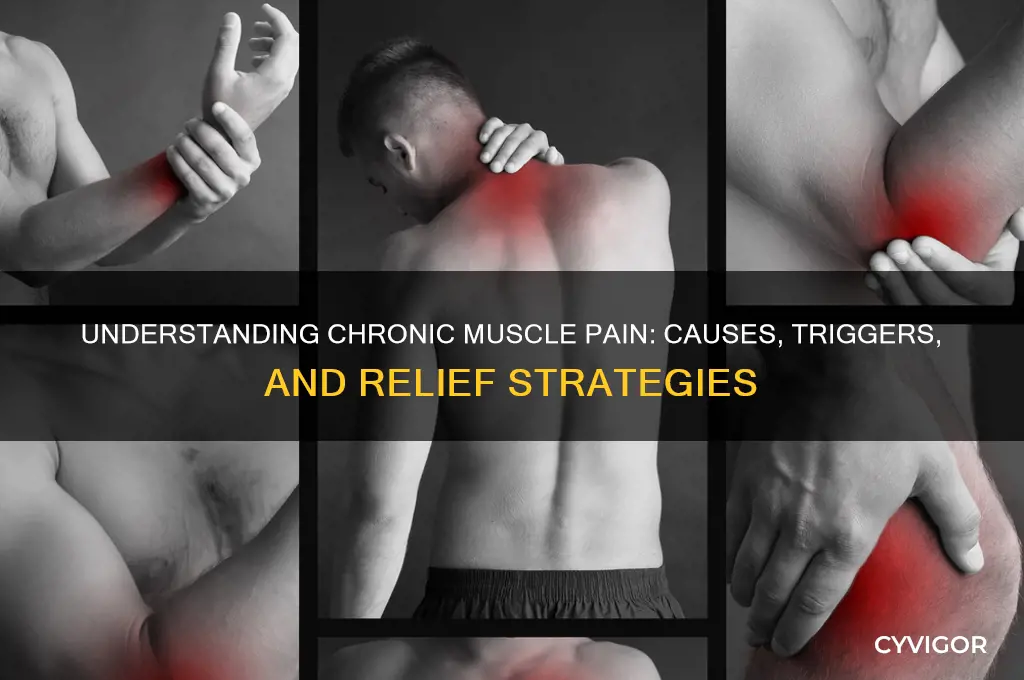 why do i have chronic muscle pain