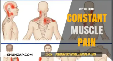 Understanding Persistent Muscle Pain: Causes, Prevention, and Relief Strategies