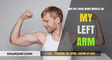Unbalanced Gains: Why Your Left Arm Has More Muscle Than Your Right