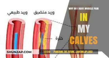 Understanding Calf Muscle Pain: Causes, Prevention, and Effective Relief Strategies