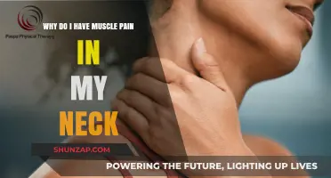 Understanding Neck Muscle Pain: Causes, Prevention, and Relief Strategies