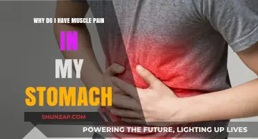 Understanding Stomach Muscle Pain: Causes, Remedies, and When to Seek Help