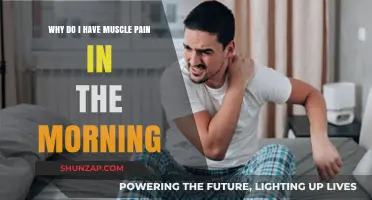 Morning Muscle Pain: Causes and Remedies for Stiffness Upon Waking