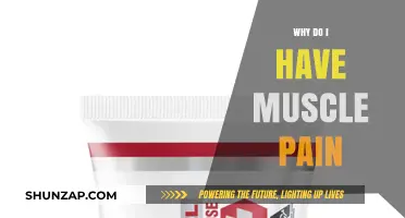 Understanding Muscle Pain: Causes, Prevention, and Effective Relief Strategies