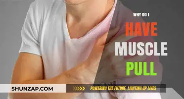 Understanding Muscle Pulls: Causes, Prevention, and Effective Recovery Tips