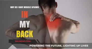 Understanding Back Muscle Spasms: Causes and Relief