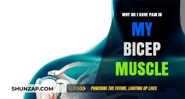 Understanding Bicep Muscle Pain: Causes, Symptoms, and Effective Relief Strategies