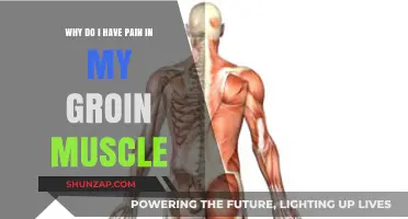 Understanding Groin Muscle Pain: Causes, Symptoms, and Effective Relief Strategies