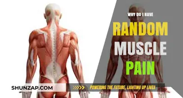 Understanding Random Muscle Pain: Causes, Triggers, and Relief Strategies