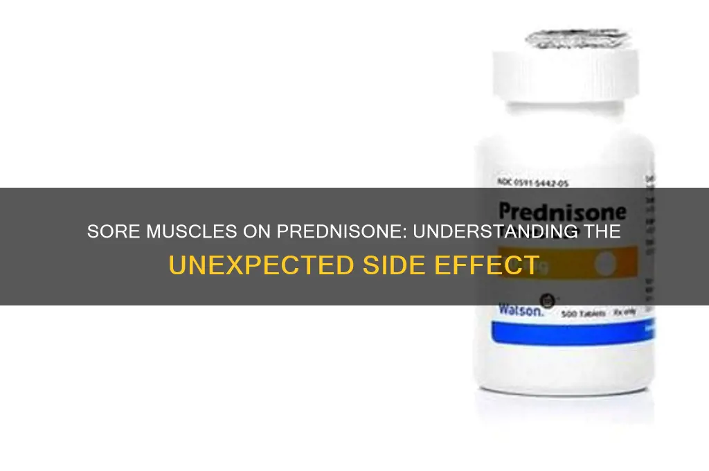 why do i have sore muscles while taking prednesone