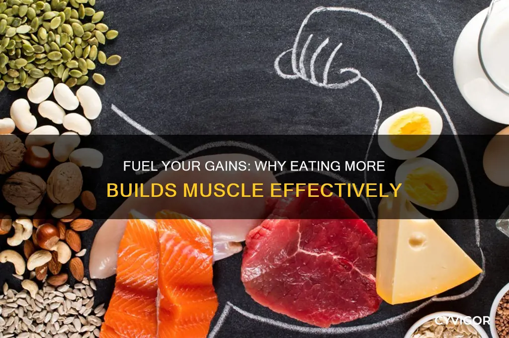 why do i have to eat more to gain muscle