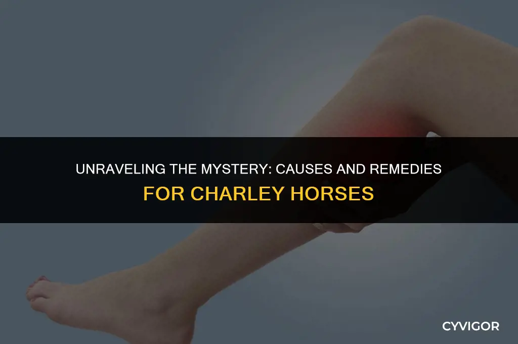 why do i keep getting charley horses in my legs