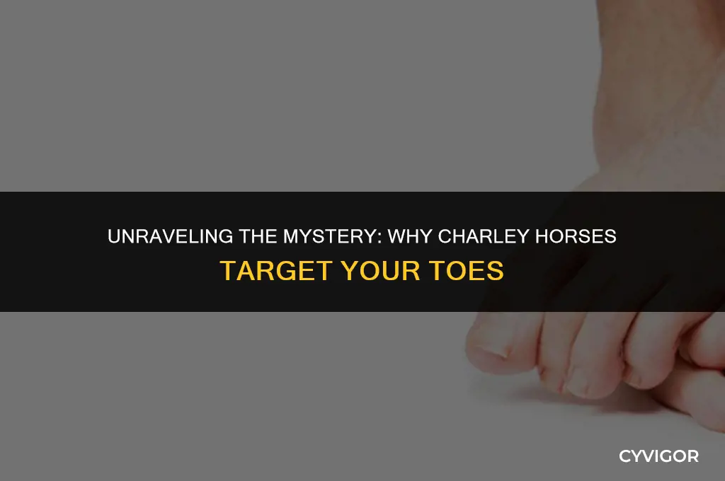 why do i keep getting charley horses in my toes
