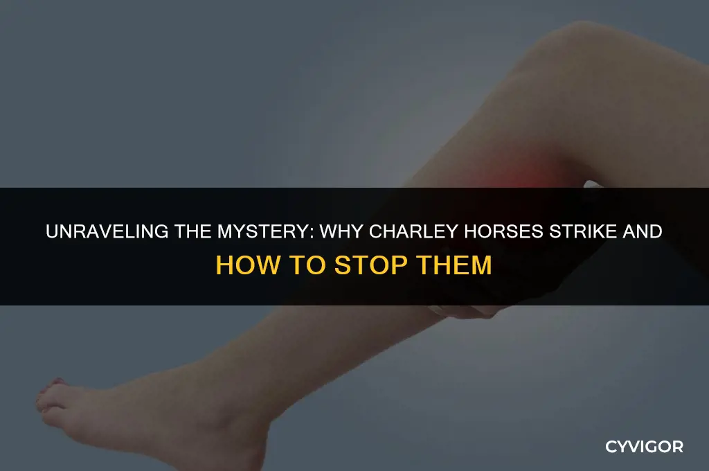 why do i keep getting charley horses
