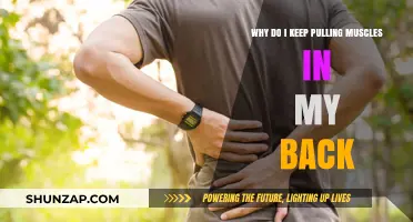 Preventing Back Muscle Strains: Understanding Causes and Effective Solutions