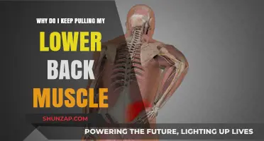 Understanding Recurring Lower Back Muscle Strains: Causes and Prevention Tips