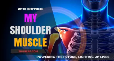 Understanding Shoulder Muscle Strains: Causes, Prevention, and Recovery Tips