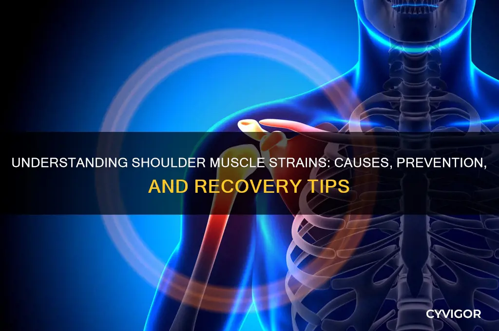 why do i keep pulling my shoulder muscle