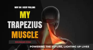 Why Your Trapezius Muscle Keeps Straining: Causes and Solutions