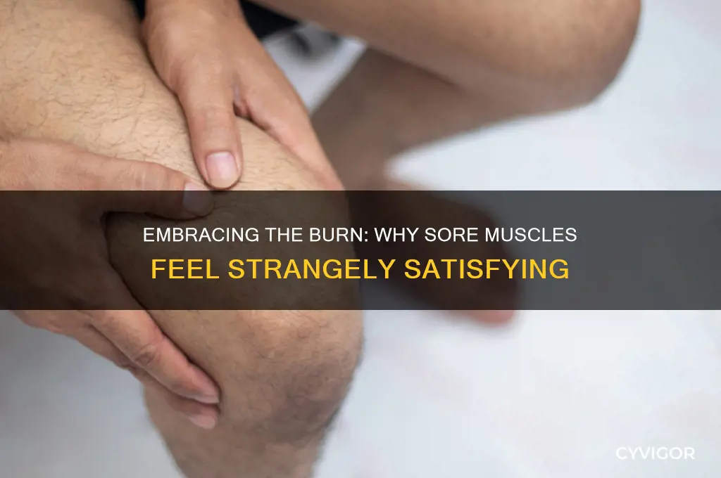 why do i like the pain of sore muscles