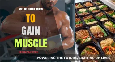 Carbs for Muscle Gain: Fueling Growth and Maximizing Results