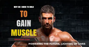 Bulk to Build: The Science Behind Muscle Gain and Growth