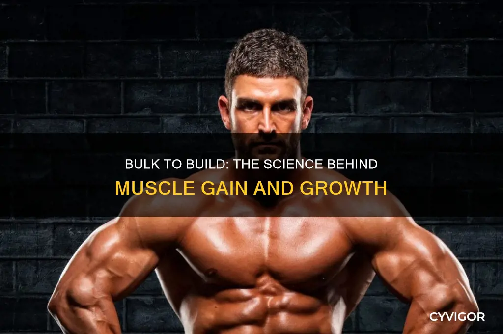 why do i need to bulk to gain muscle
