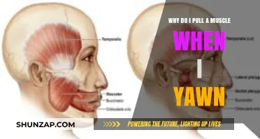 Yawning and Muscle Pulls: Understanding the Surprising Connection
