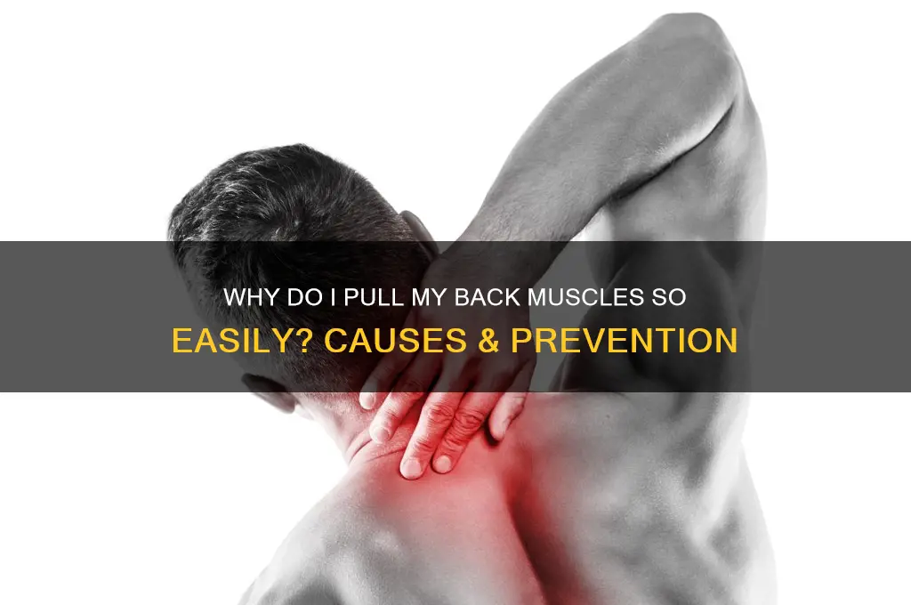 why do i pull my back muscles so easily