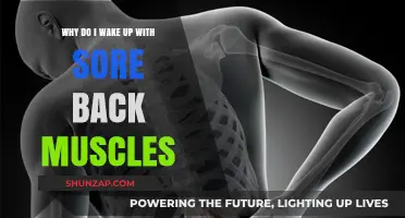 Why Do I Wake Up with Sore Back Muscles? Causes & Solutions