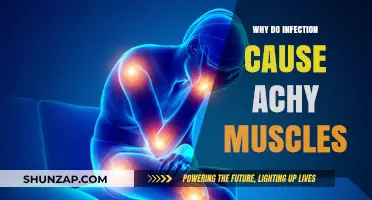 Why Infections Trigger Muscle Aches: Understanding the Body's Immune Response